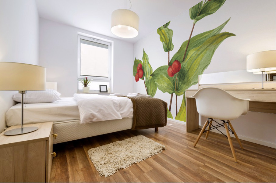 Fairy–bells Disporum hookeri 1933 Mural print