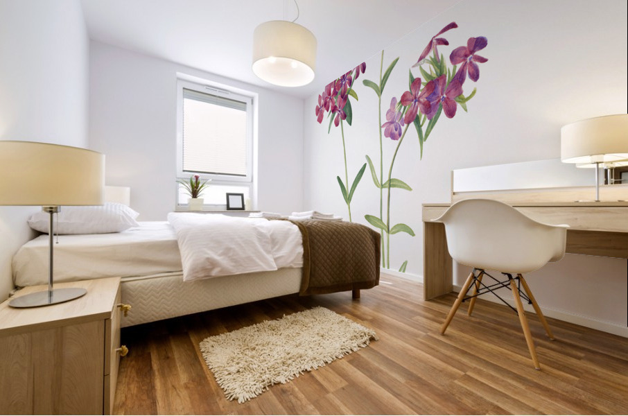 Hairy Phlox Phlox amoena 1930 Mural print