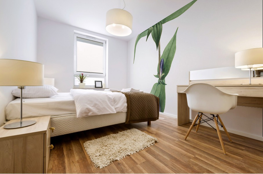 Bottle Gentian Gentiana saponaria 1905 Mural print