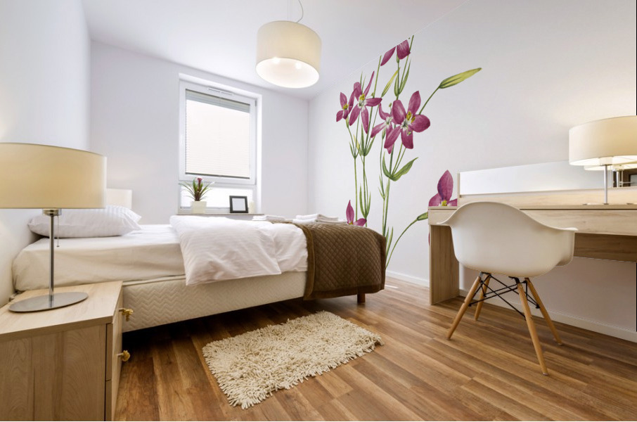 Centaurium Centaurium venustum 1925 Mural print