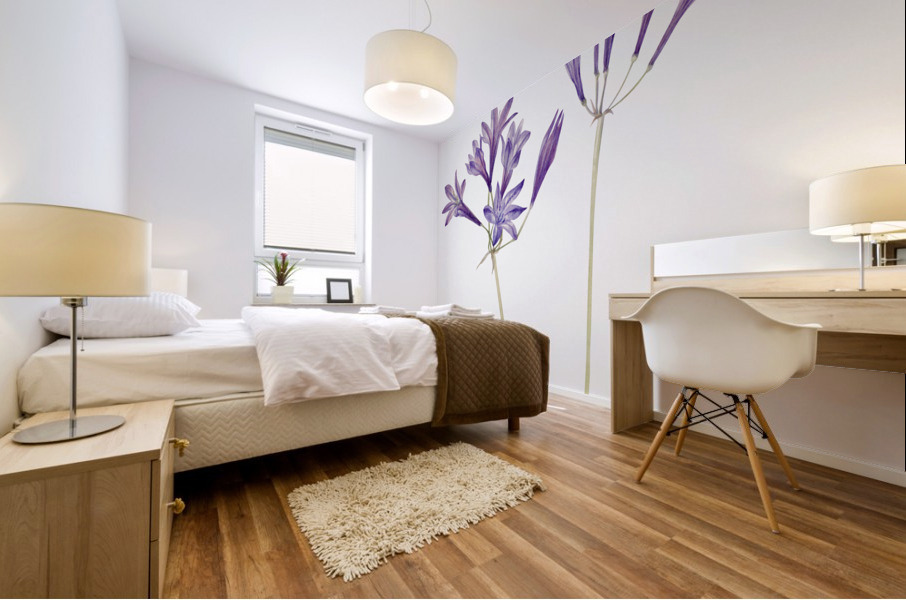 Butterfly Pea Clitoria mariana 1934 Mural print