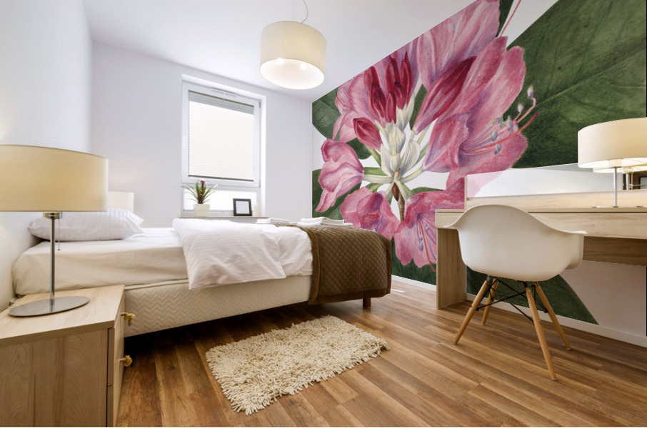 Mountain Rose Bay Rhododendron catawbiense 1932 Mural print