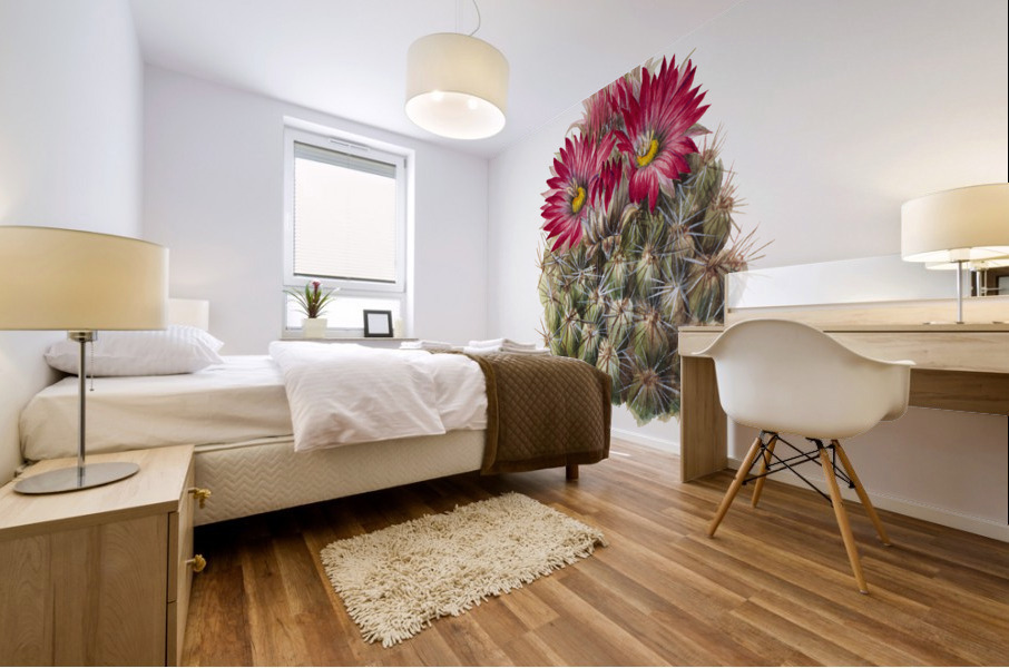 Hedgehog Cactus Coryphantha arizonica 1933 Mural print