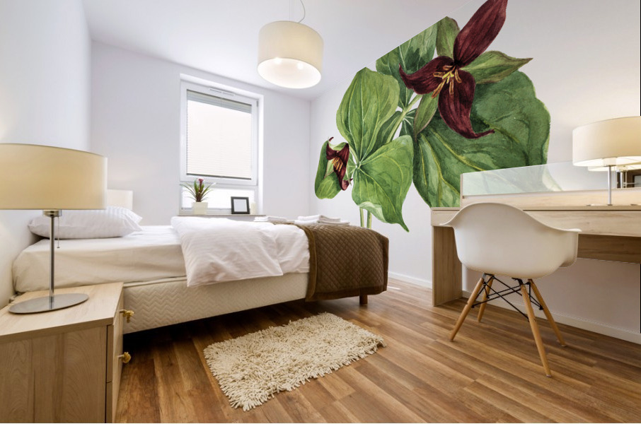 Giant Helleborine Epipactia gigantea 1880 Mural print