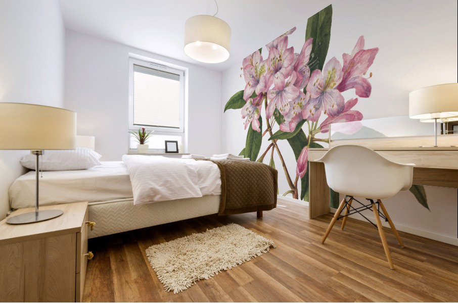 Rose Bay Rhododendron Rhododendron carolinianum 1932 Mural print