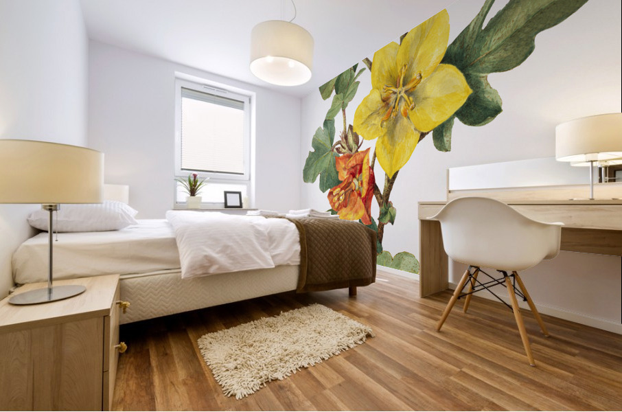 Red Willowweed Epilobium latifolium 1911 Mural print