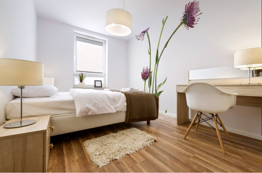 Alaska Fleabane Erigeron salsuginosus 1925 Mural print