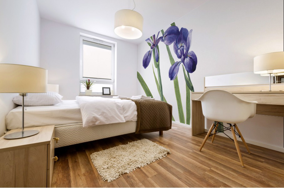 Iris Iris species 1939 Mural print