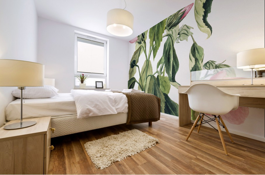 Rose Gentian Sabbatia angularis 1880  Mural print