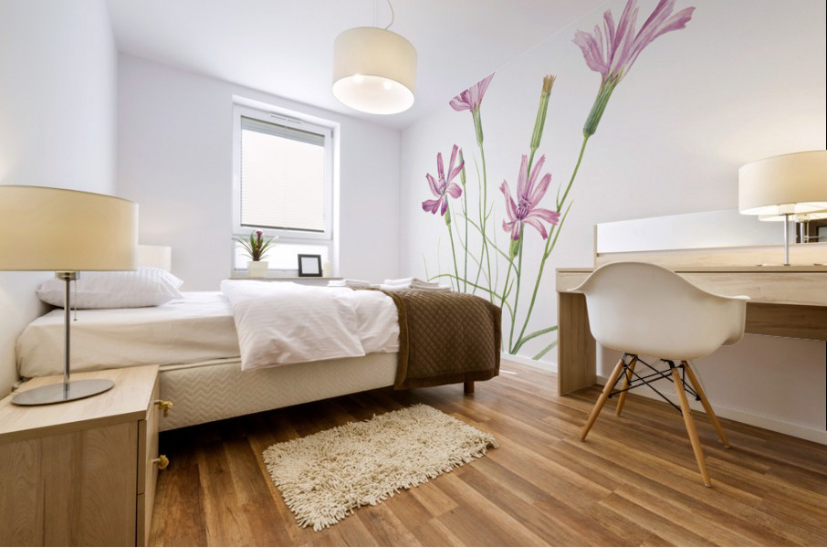 Skeleton Weed Lygodesmia grandiflora 1931 Mural print