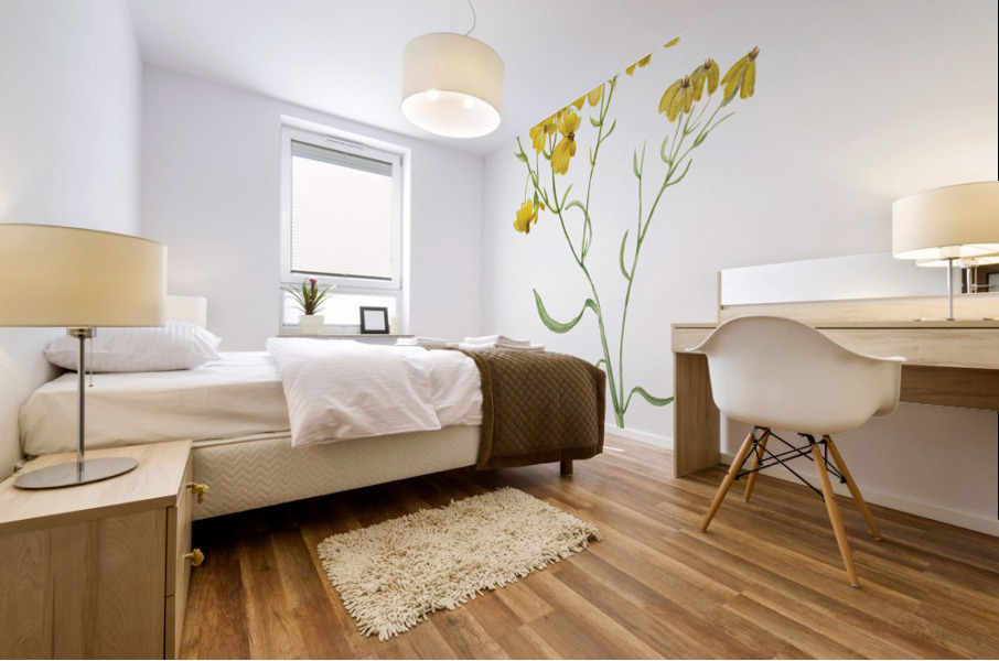 Psilostrophe sparsiflora 1938 Mural print