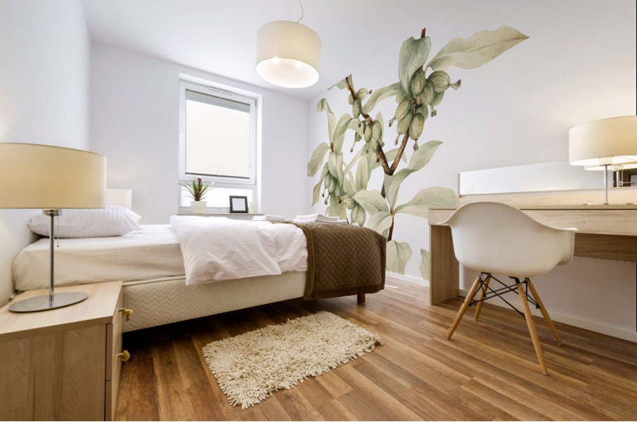 Silverberry Elaeagnus commutata 1922 Mural print