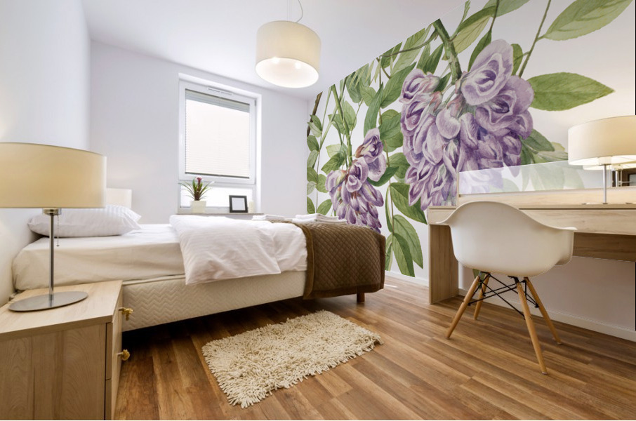 American Wisteria Kraunhia frutescens 1925 Mural print