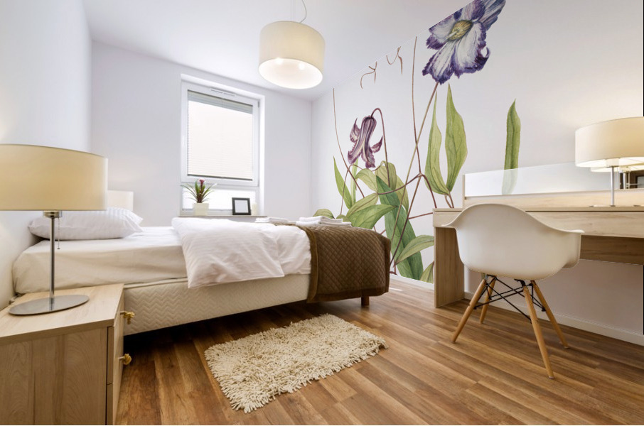 Curly Clematis Clematis crispa 1925 Mural print