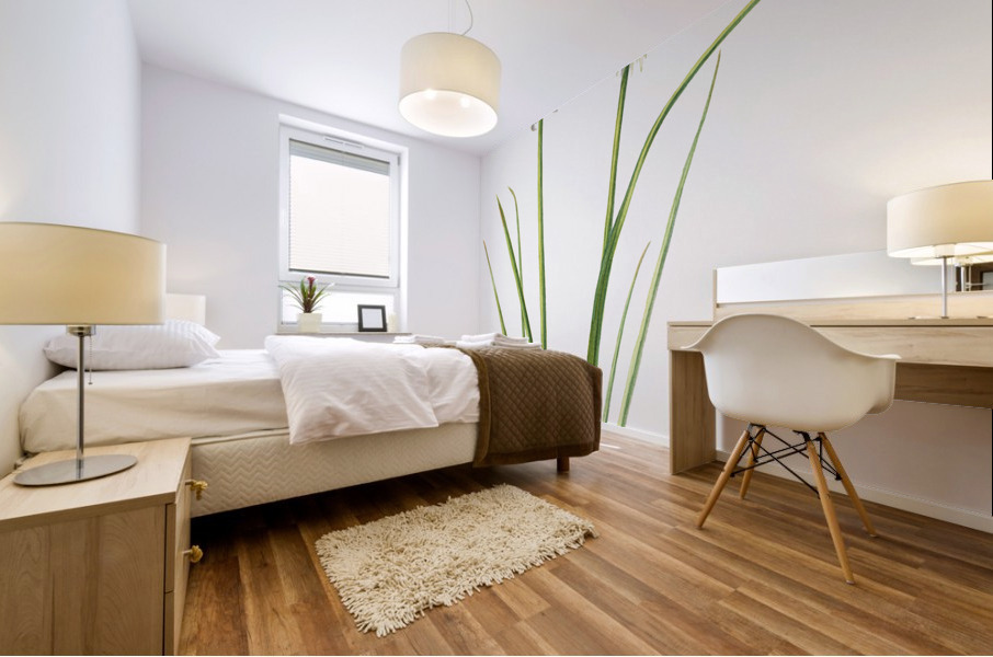 Northern Onion Allium sibiricum 1920 Mural print