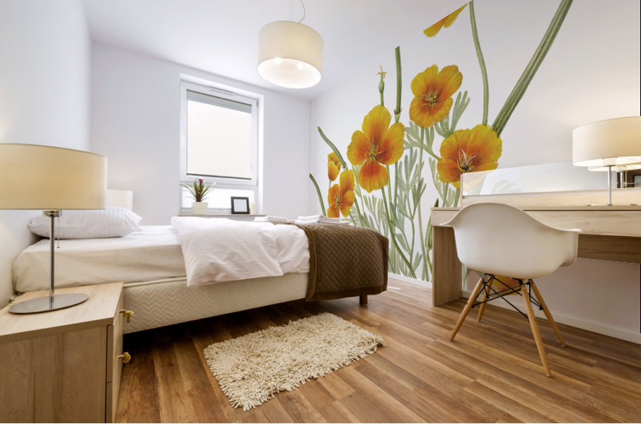 Mexican Poppy Eschscholtzia mexicana 1927 Mural print