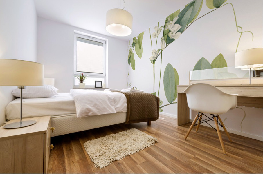 White Pea Lathyrus ochroleucus 1920 Mural print