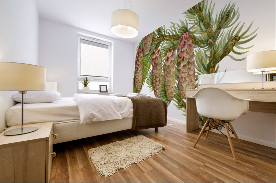 Douglas Fir Pseudotsuga mucronata 1923 Mural print