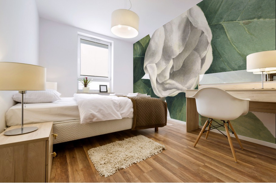 Southern Magnolia Magnolia grandiflora 1918 Mural print