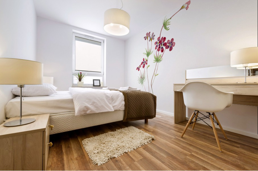 Gilia linanthus parviflorus 1900–1930 Mural print