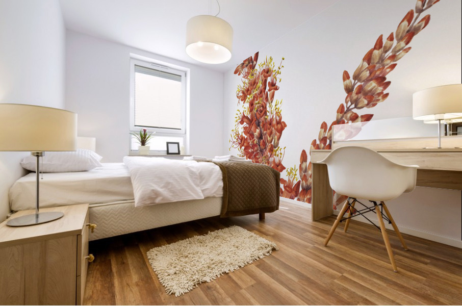 Ocotillo Fouquieria splendens 1927 Mural print