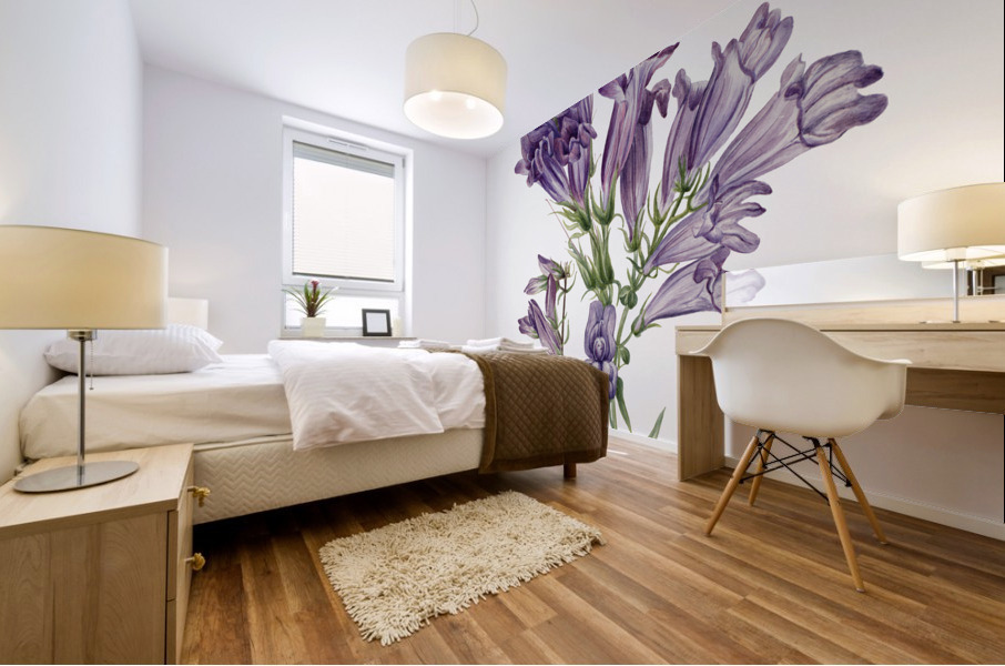 Rose Mallow Hibiscus moscheutos 1878 Mural print