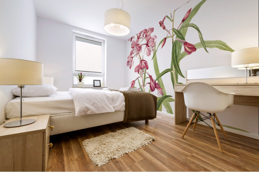 Fireweed Epilobium angustifolium 1902 Mural print