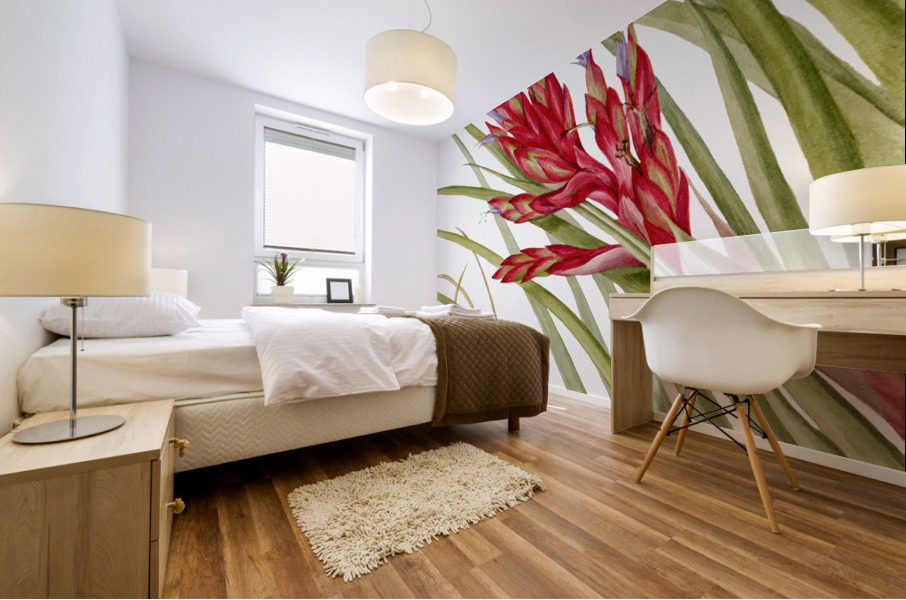 Quill Leaf Tillandsia Tillandsia fasciculata 1929 Mural print