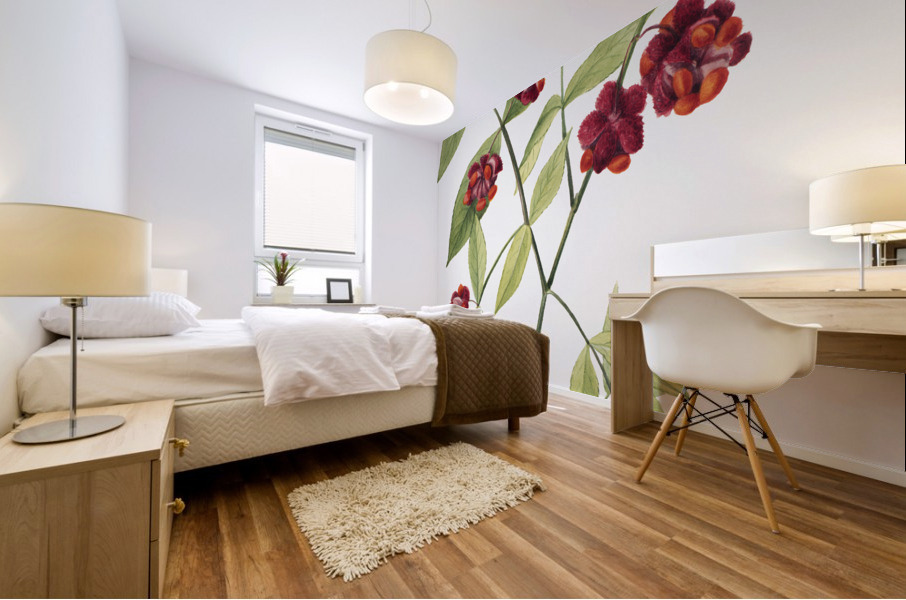 Winterberry Ilex verticillata 1920 Mural print