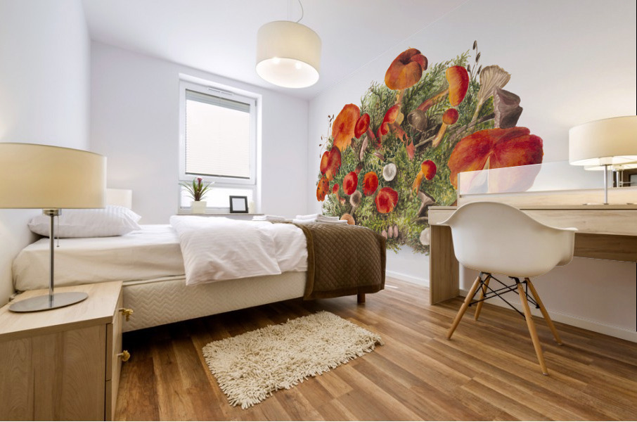 Study of Mushrooms 1880 Mural print