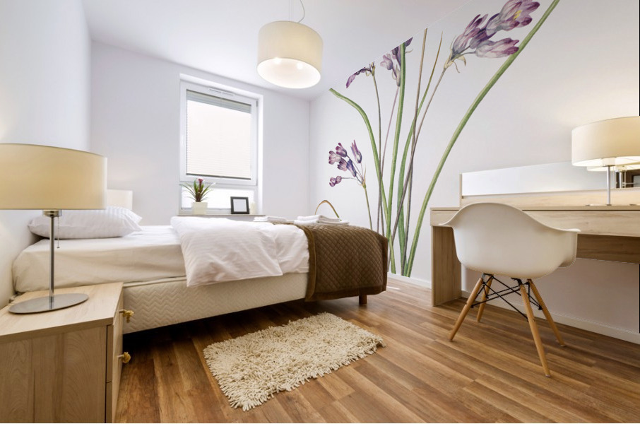 Wild Hyacinth Brodiaea pulchella 1927 Mural print