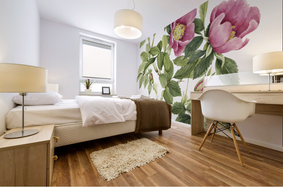 Bourgeau Rose Rosa bourgeauiana 1920 Mural print