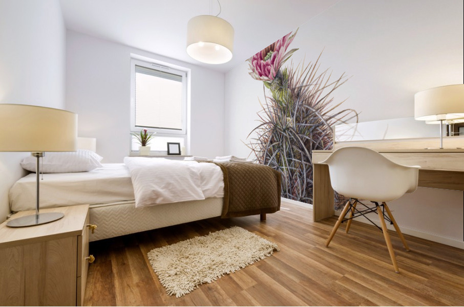 Cucumber cactus 1939 Mural print