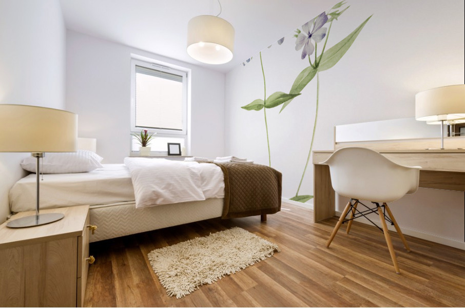 Blue Phlox Phlox divaricata 1917 Mural print