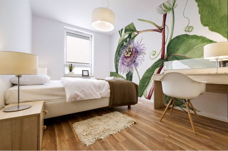 Maypop Passiflora incarnata 1926 Mural print