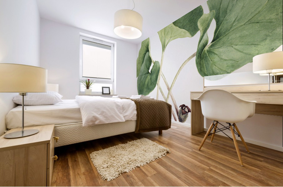 Maypop Passiflora incarnata 1926 Mural print