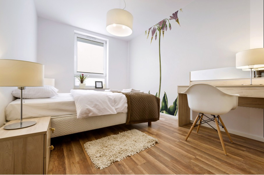 The American Cowslip Mural print