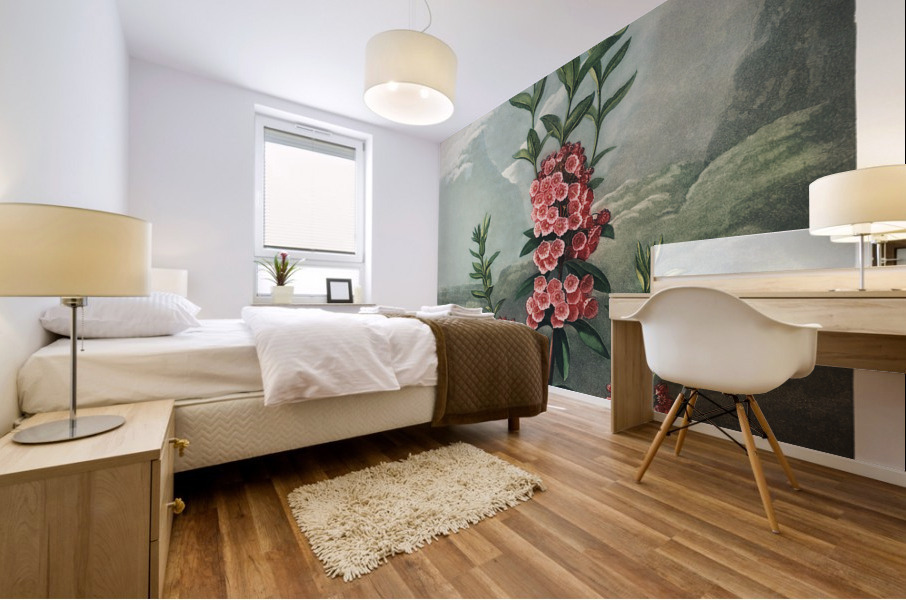 The Narrow–Leaved Kalmia Mural print