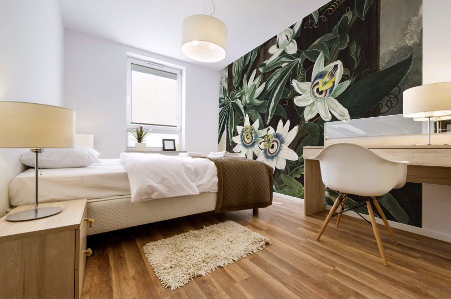 The Passiflora Cerulea Mural print