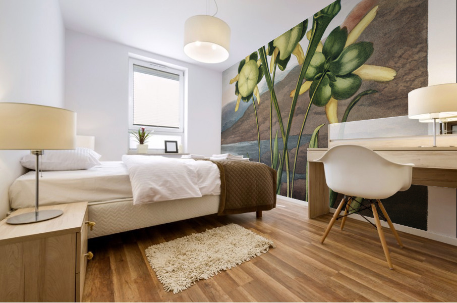 Pitcher Plant  Mural print