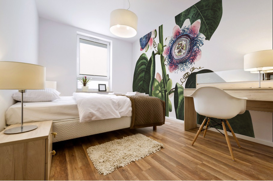 The Quadrangular Passion Flower  Mural print