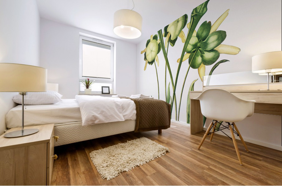 Pitcher Plant Mural print