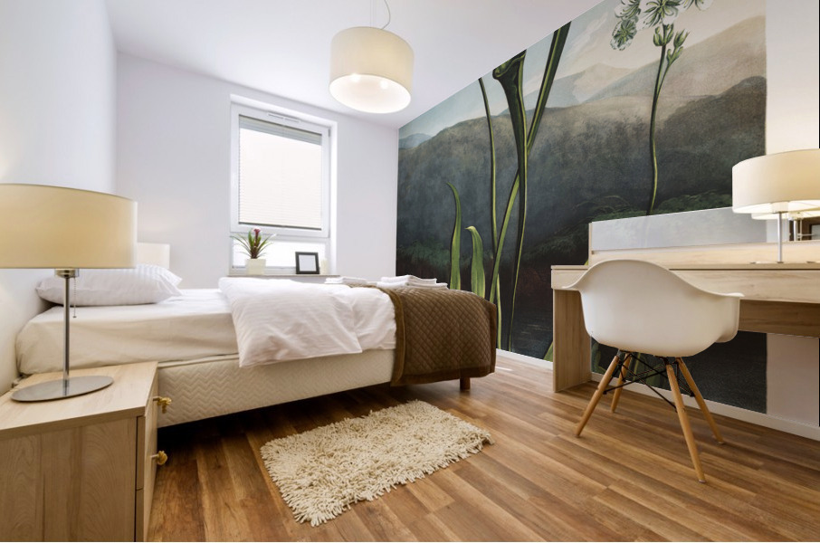 American Bog Plants Impression murale