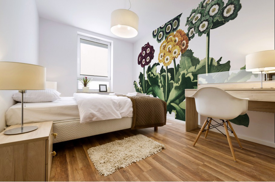 A Group of Auriculas Mural print