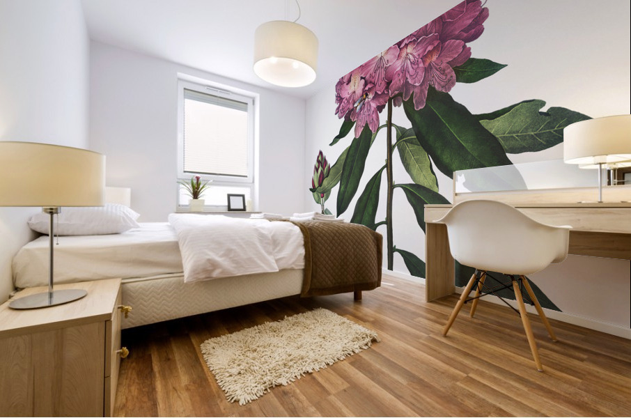 The Pontic Rhododendron Mural print
