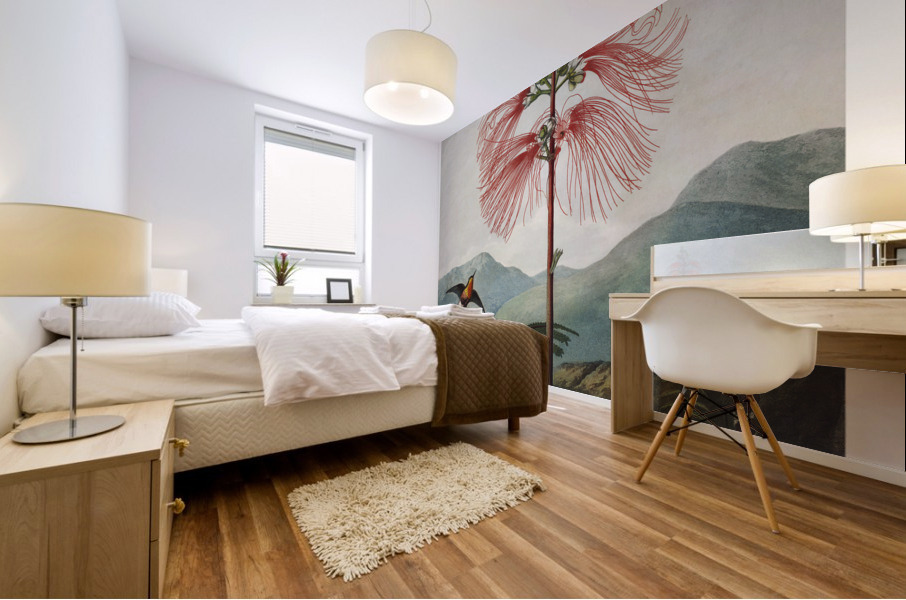 Large–Flowering Sensitive Plant Mural print