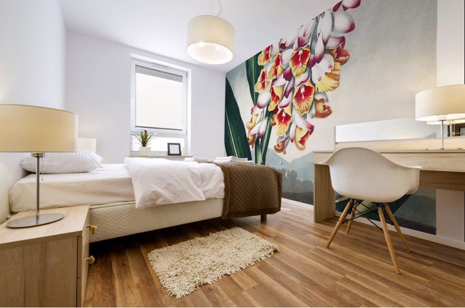 The Nodding Renealmia Mural print