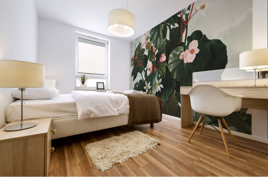 The Oblique–Leaved Begonia Impression murale