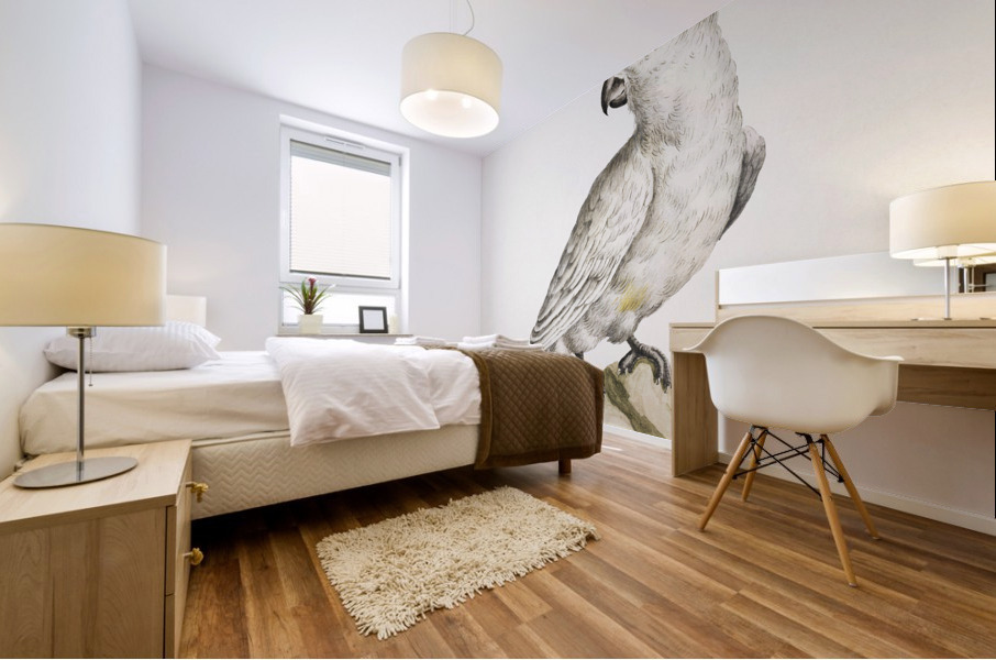 Pappagallo detto cacatua con cresta gialla Cockatoo Mural print