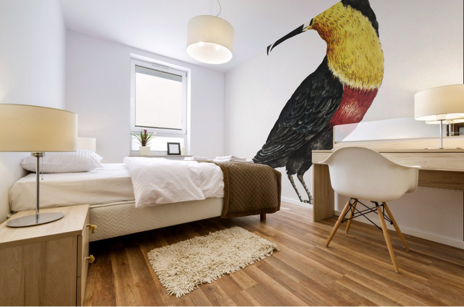 Tucana Piperivora Mangiapepe Toucan Impression murale